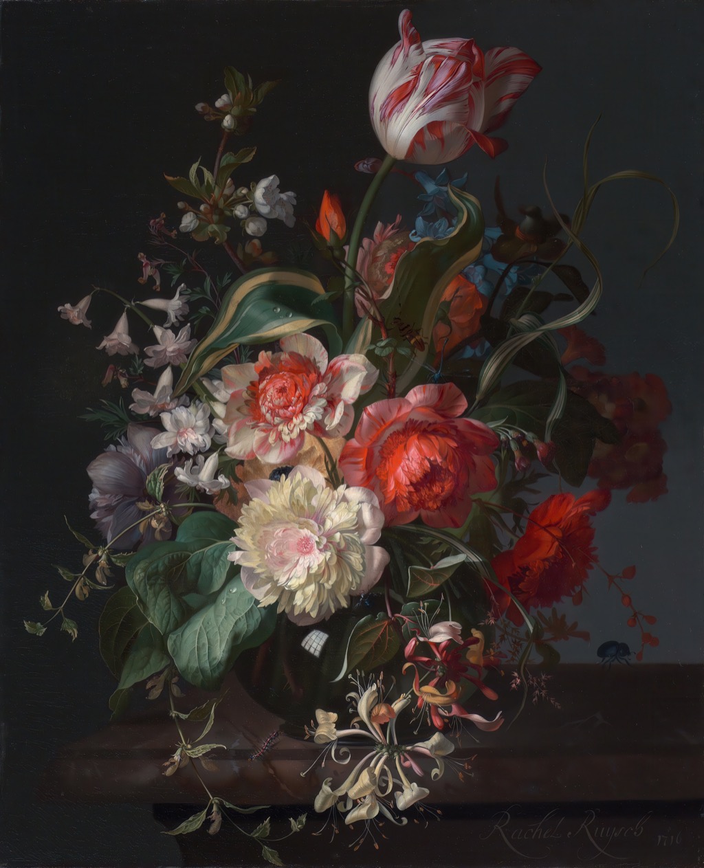 Flowers in a Glass Vase with a Tulip by Rachel Ruysch